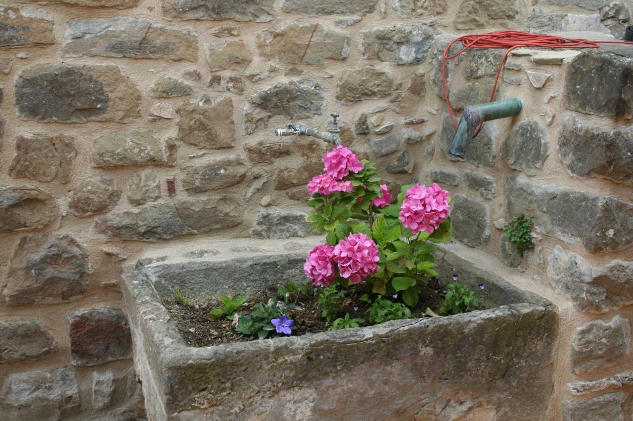 Gasthaus Mas Tulsa Casa Rural Girona Riudellots de la Creu Exterior foto